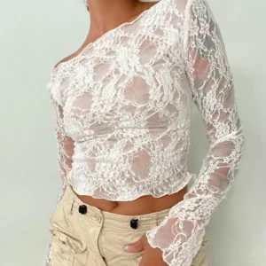 Sheer Lace Mesh Long-Sleeve Top